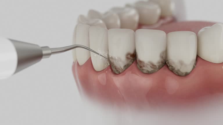 Reliable Dental contractor in Port Arthur, TX by Dentist Open Now